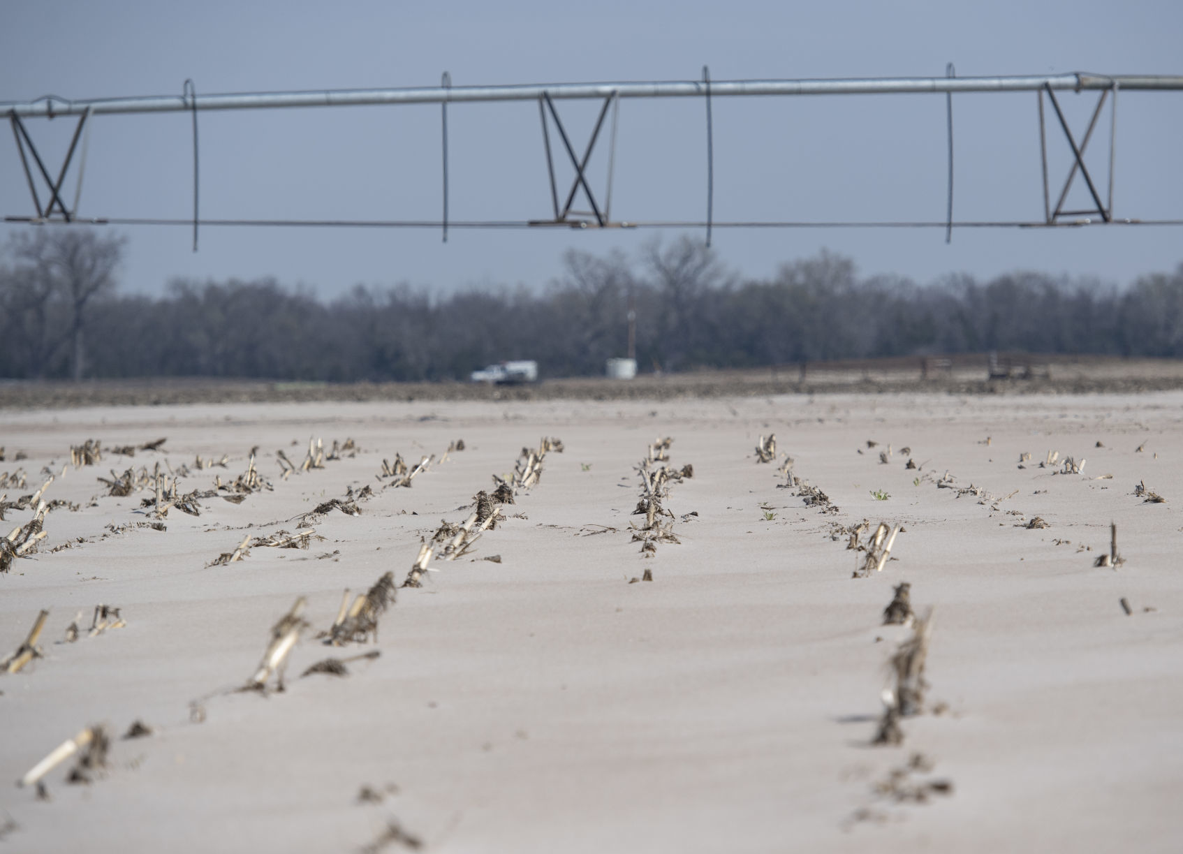 Drew Wolfe farm, 4.16